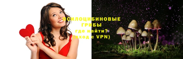 PSILOCYBIN Медвежьегорск
