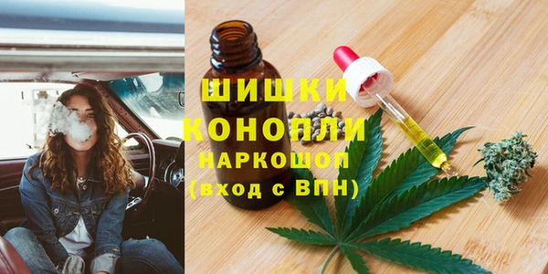 PSILOCYBIN Медвежьегорск