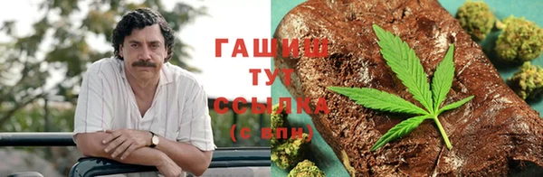 сатива Мегион