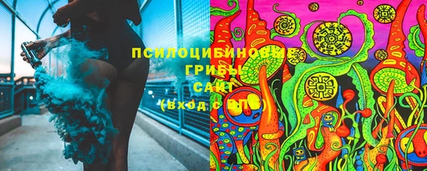 сатива Мегион