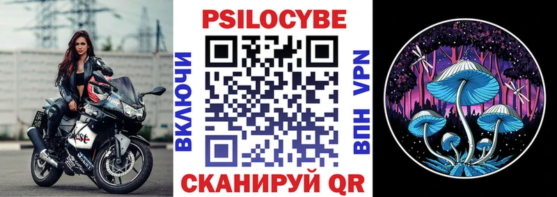 Псилоцибиновые грибы GOLDEN TEACHER  продажа наркотиков  ОМГ ОМГ ССЫЛКА  Оха 