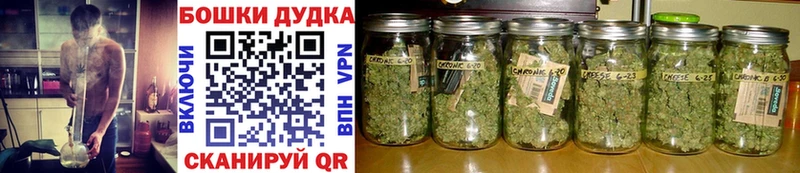 Шишки марихуана марихуана  Оха 